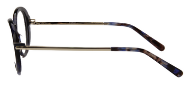 Women Vista Eyeglasses: Cookies - Blue Gold - SpecSMART Eye Clinic (Side View)